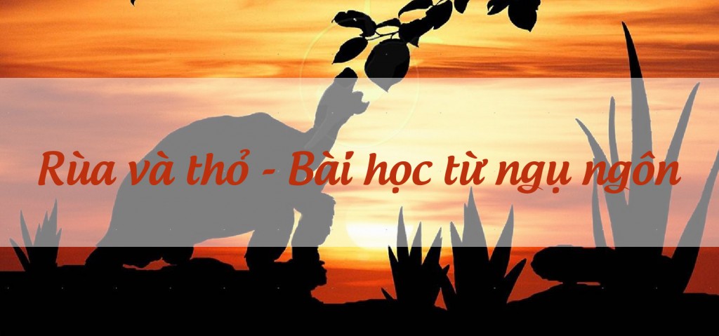 Ngoc Anh Branding
